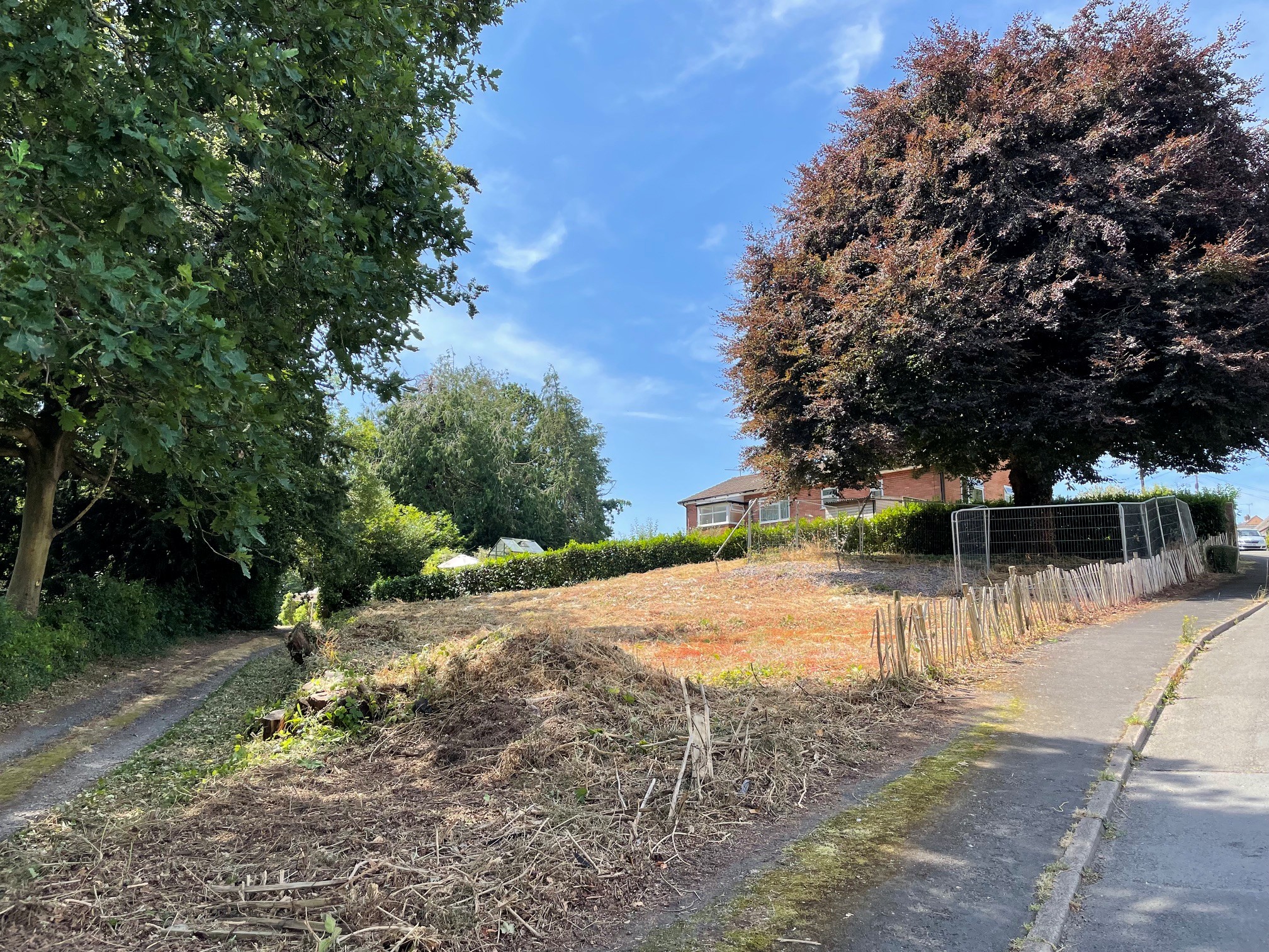view across plot looking south west