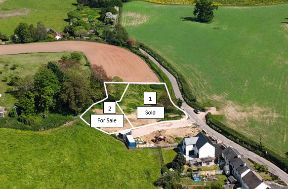 view across plots to the east