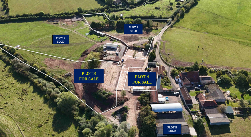 view across plots to east