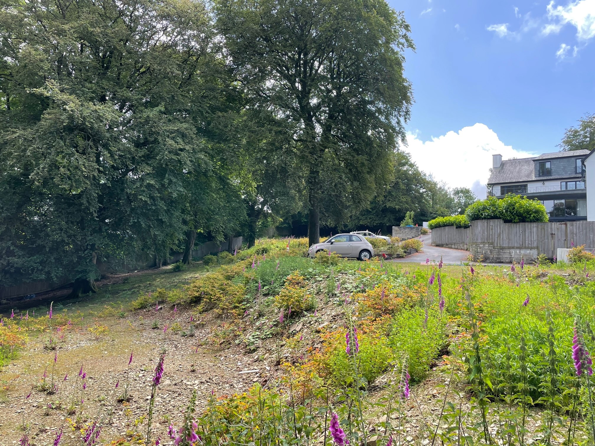 view looking south from Plot 4